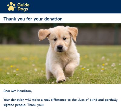 Christmas donation from Jacarem to The Guide Dogs for the Blind Association.